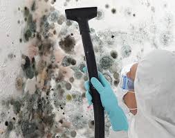 Best Mold Damage Restoration  in National City, CA